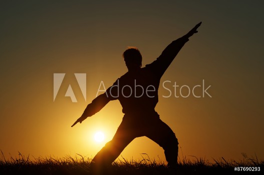Bild på Silhouette of man with extended arms in a fighting stance on a grassy horizon against the setting sun